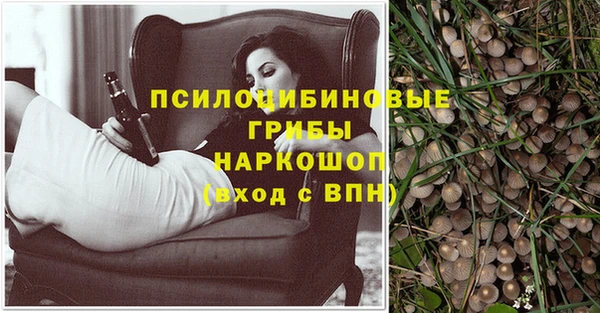герыч Тында