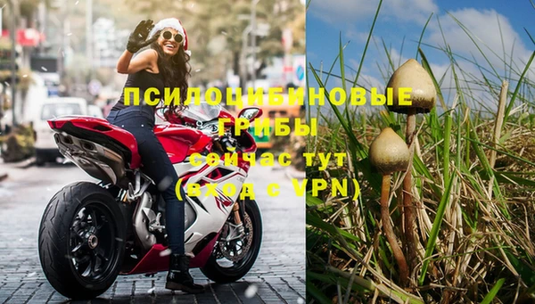 герыч Тында