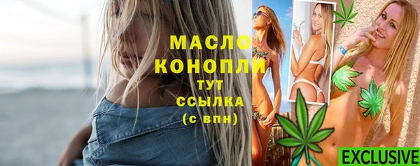 молекула духа Туринск