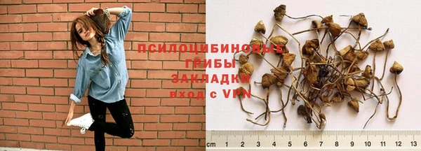 кокаин колумбия Белокуриха